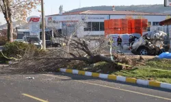 İkiye bölünen otomobil, genç arkadaşlara mezar oldu
