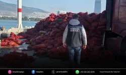 27 ton belgesiz kara midyesi ele geçirildi