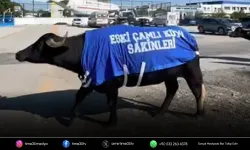 Güzelbahçe’de mandalı protesto: “siz yokken biz vardık”