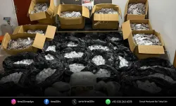 Buca’da 550 bin sentetik hap ele geçirildi!