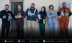 Büyükşehir, Şule Çörekçi’nin emanetlerine sahip çıktı!