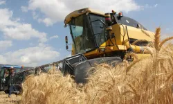 Tarım-GFE yıllık yüzde 34,60 arttı