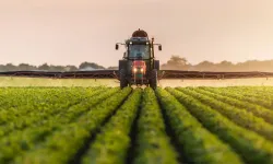 Tarım-ÜFE yıllık yüzde 45,40 arttı