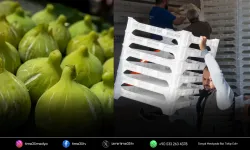 Beydağ incirinin katma değeri artıyor