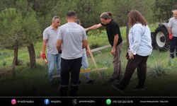 Bornova’dan susuzluğa doğa temelli çözümler