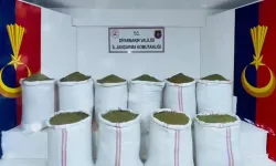 29 ilde büyük operasyon: 345 şüpheli yakalandı