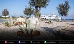 İzmir’in çehresi su tasarruflu bitkilerle güzelleşiyor