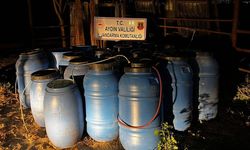 Aydın'da 6 ton sahte şarap ele geçirildi