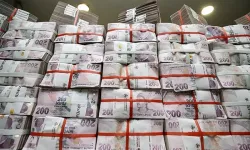 Bütçe Kasım ayında 169,5 milyar TL fazla verdi