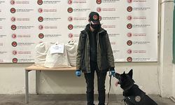 Kapıkule'de otomobilde 22 kilo esrar ele geçirildi