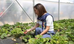 Efes Tarlası Yaşam Köyü’nde Elde Edilen Yerel Tohumlar Anadolu’nun Dört Bir Yanında Filizleniyor