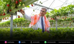 Büyükşehir Belediyesi üreticiye desteğini sürdürdü