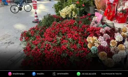 İzmir'de yılbaşının simgesi kokinaya talepte iki kat artış