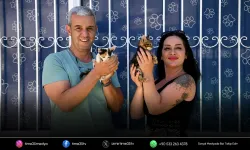 Kuşadası’nda evcil hayvanlara mikroçip uyarısı