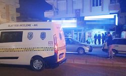 İş yerinde tartıştığı 2 kişiyi tabancayla öldürdü