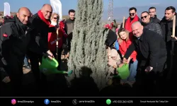 Menemen Belediyesi binlerce fidan dikti