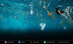 Mikroplastikler anne sütü ve plasentada tespit edildi