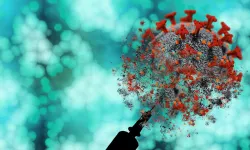 Mpox virüsünün yeni bir varyantı tespit edildi