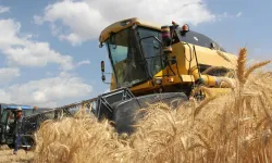 Tarım-GFE yıllık yüzde 33,66 arttı