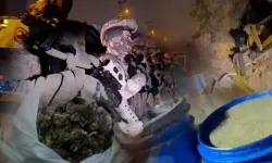 Uyuşturucu ve fuhuş soruşturmasında 20 gözaltı