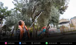 Buca’da dayanışma için hasat zamanı