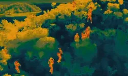 15 ilde göçmen kaçakçılığı operasyonu; 50 tutuklama