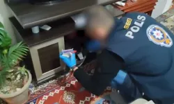 16 ilde siber suç operasyonu: 126 gözaltı