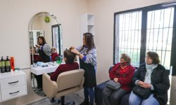 Buca’da çınarlara vefa büyüyor