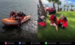 İzmir’de yaban hayatına nefes olan kurtarma