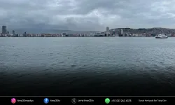 İzmir Körfezi depremlerine bilimsel mercek