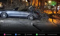 İzmir'de şiddetli rüzgar: Otomobilin üzerine ağaç devrildi
