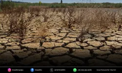 Yer altı suları tükeniyor, İzmir susuzlukla karşı karşıya