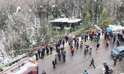 Belediye otobüsü şarampole devrildi: 12 yaralı