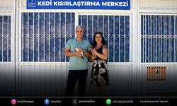 Kuşadası Belediyesi 2025’te sokak hayvanlarını yalnız bırakmadı