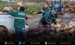 Kuşadası’nda budanan dallar yakacağa dönüşüyor