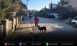 Menderes yeni yıla kapsamlı temizlik çalışmasıyla girdi