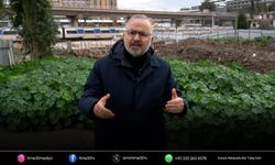 AK Partili Yıldız’dan Mürselpaşa battı-çıktısı tepkisi