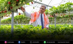 İzmir gıda güvenliğinde dünya ligine dahil oldu