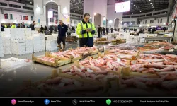 Büyükşehir hallerinden rekor işlem hacmi