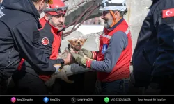 İzmir’de afetzede hayvanlar için kurtarma seferberliği