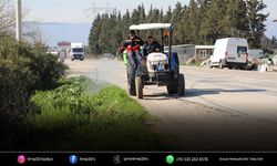 Menderes'te yabancı otlarla mücadele seferberliği