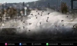 Meteoroloji’den İzmir’e çifte uyarı