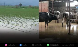 Küçük Menderes çiftçiyi bir kez daha vurdu