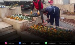 Efeler sokaklarında mevsimlik çiçek mesaisi başladı