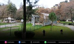 Pınarbaşı Mesire Alanı yaz sezonuna hazırlanıyor