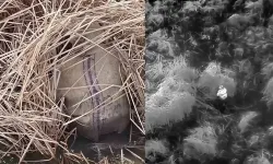 Yasa dışı avcılık yapan 13 kişiye idari işlem