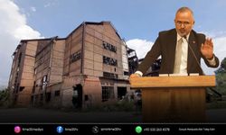 AK Partili Yıldız’dan Elektrik Fabrikası açıklaması