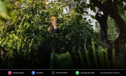 Balçova Belediyesi’nden örnek dayanışma projesi