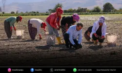 Başkan Yetişkin’den 8 Mart mesajı