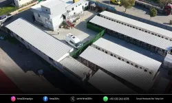 Bayraklı’da hayvan bakımevi yenilendi